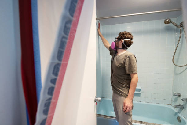 Best Basement Mold Removal  in Steele, AL